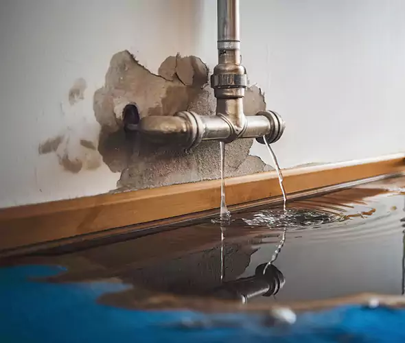Professional Water Damage Restoration Experts in Boca Raton, FL — Fast, Reliable & Certified