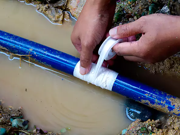  Why Choose Boca Raton Plumbing Pros for Leak Detection in Boca Raton, FL?]