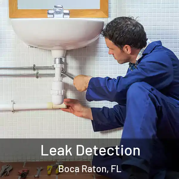  Leak Detection Boca Raton, FL