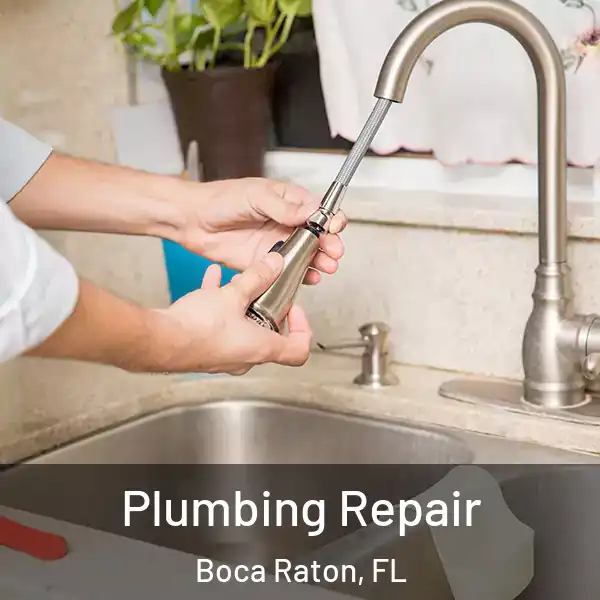  Plumbing Repair Boca Raton, FL